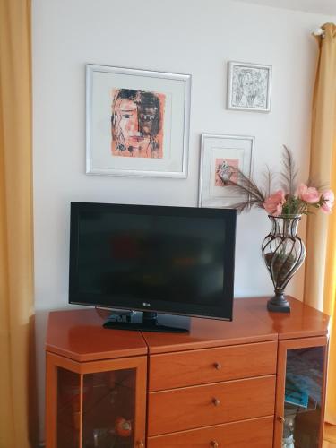 2 Zimmer Domizil am Südhang mit Terrasse