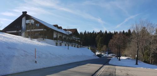 2 Zimmer Mitterdorf