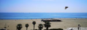 20 m2 de terrasse face à la mer à Canet en Roussillon