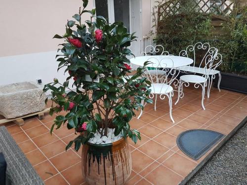 23 Rue Jean Amade