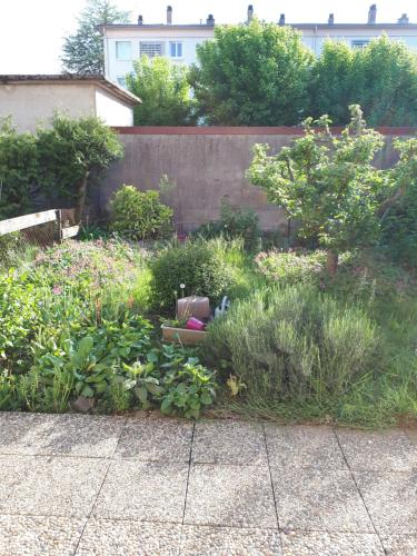 25 Rue Raymond Braillard