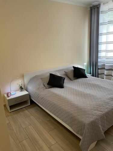 2Raum-Apartment Leznew