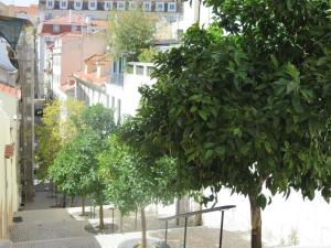 3 Bedroom Apt, Historical Center, Tagus River View