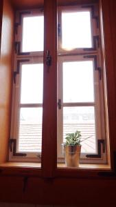 3 Raum Ferienwohnung