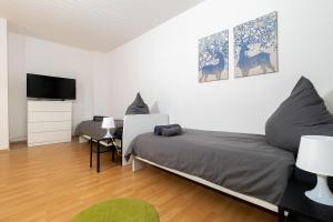 3 room flat in Hagen