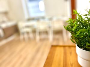 3 Zi. Apartment mit 6 Betten, Küche, zentral gelegen, 7 min zur A1