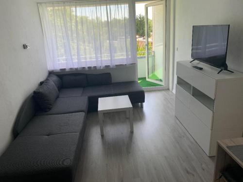 3 Zimmer Messe Wohnung
