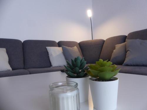 3 Zimmer Wohnung Appartment in Künzell Fulda