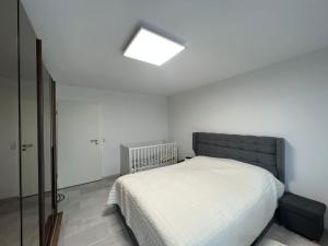 3 Zimmerwohnung in Erbach