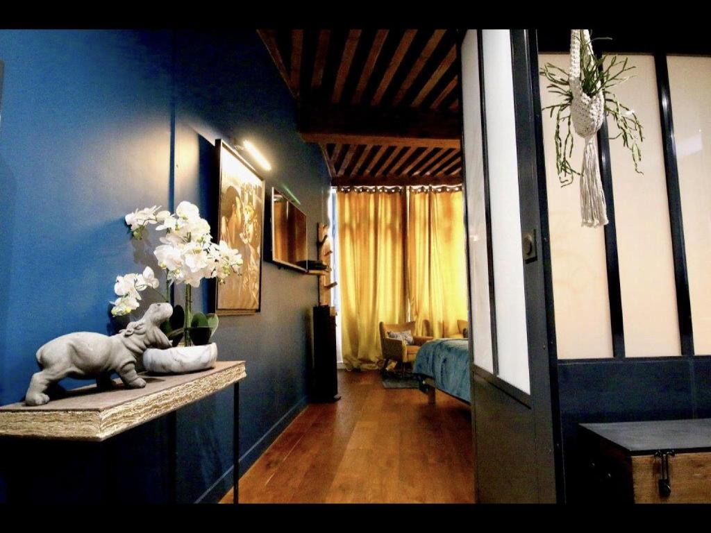 Appartement 3e secret en plein coeur du Vieux Lyon 19 Rue Saint-Jean 69005 Lyon