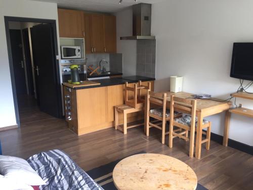 Appartement 4 personnes au pied des pistes des deux alpes Les Deux Alpes france