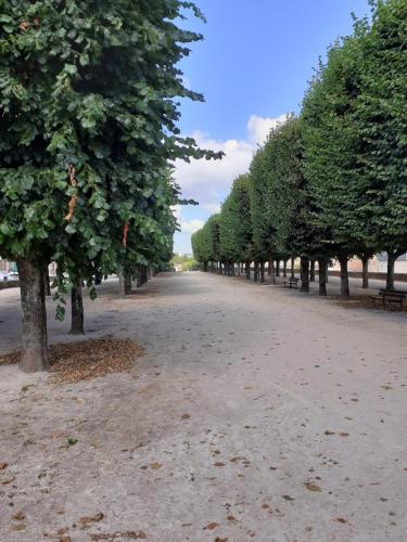 Appartement Appartement 48m2 pour 6 personnes au centre ville historique avec parking gratuit et une borne de recharge pour voiture à 10 metres 2 Ruelle Tour du Magasin Avallon