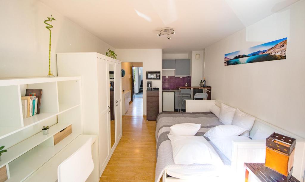 4min Gare et Centre-ville, jardin, Studio CALMOSY 8 Rue Colonel Denfert Rochereau, 38000 Grenoble