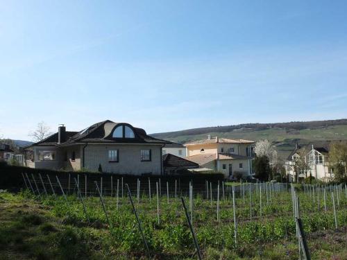 5 Sterne Ferienwohnung - Am Rheinberg -