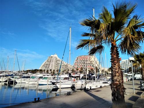 5 toits et mois Studio 2 pers Parking privatif Balcon et WIFI 10 mn plage et centre ville a pied