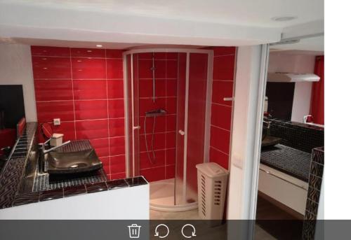 Appartement 50 m2 dans une maison privative avec terrasse et jardin privée Le Cannet france