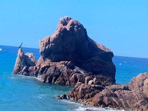 54 m2vue imprenable sur l'Esterel avec une grande terrasse de 15 m2