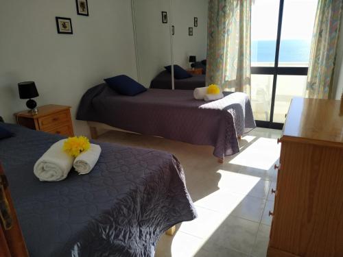 9 Torre Sol - Casas & Papeis