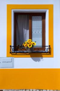 A Casa dos Girassóis