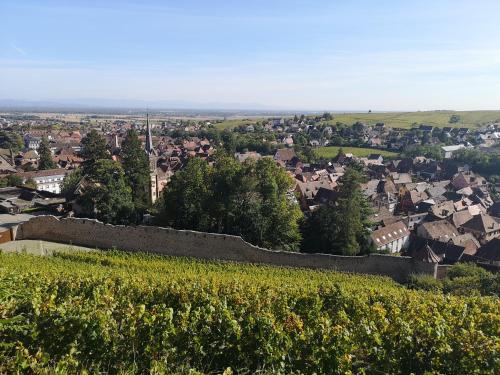 À La Cour de Ribeauvillé avec garage