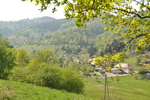 Appartement à Mitzach Mitzach france