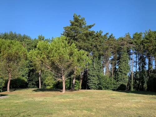 Appartement à Royan avec accès piscine Royan france