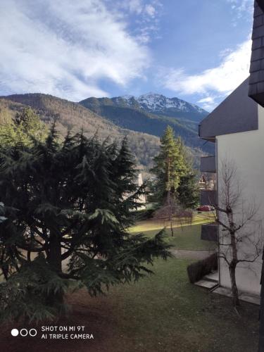 A Saint Lary Soulan : Studio 4 personnes