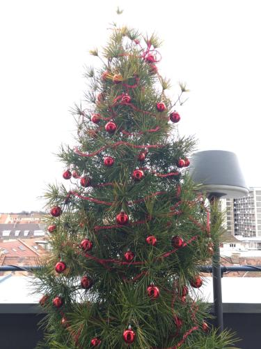 a top 365 panorama strasbourg