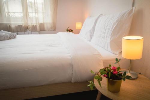 A1G Nancy Thermal, chambre, clim et Netflix.