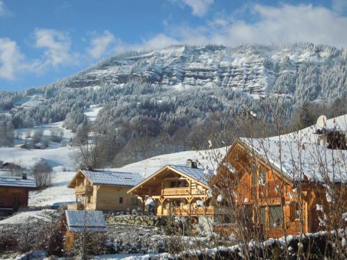 A4 km de Megève très joli studio avec jacuzzi ,vue sur les montagnes au calme