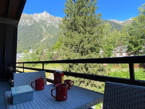 Appartement Acacia Chamonix-Mont-Blanc france