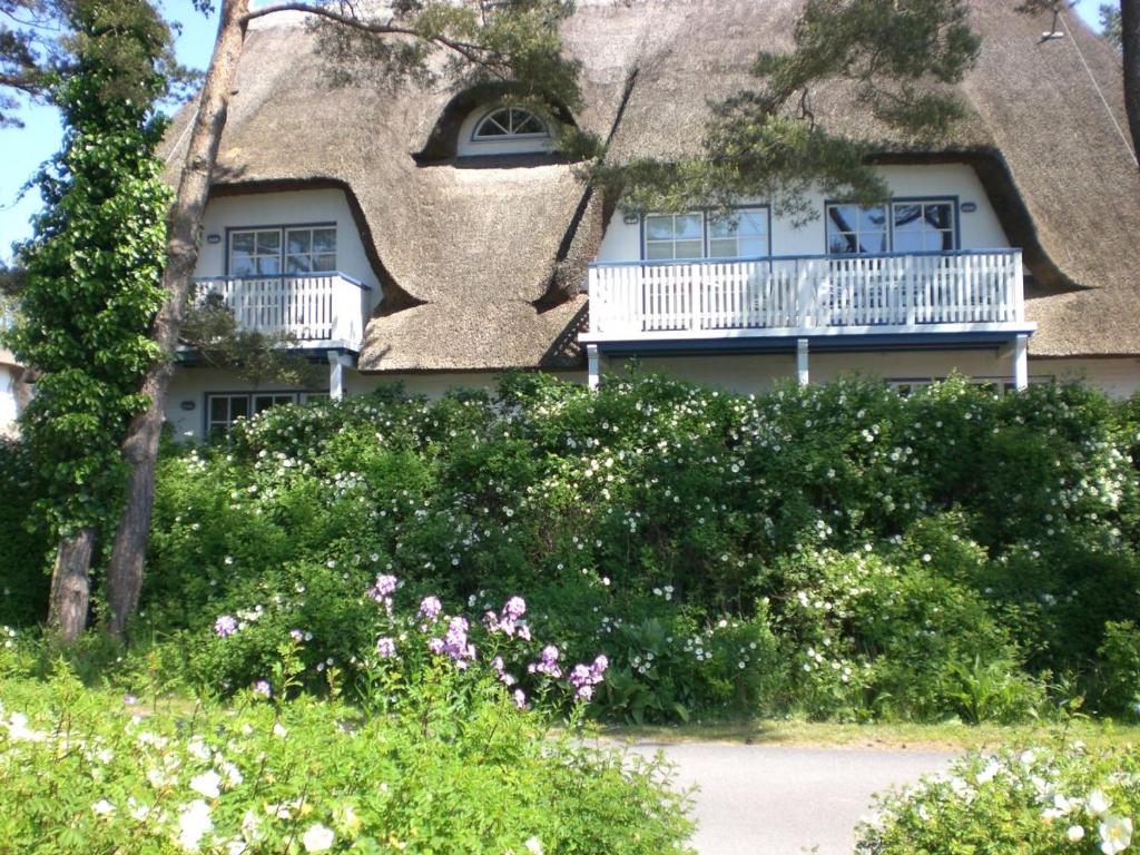 Achtern - Diek - am Strand Achtern - Diek, Haus 4 Wohnung 2, 18374 Zingst