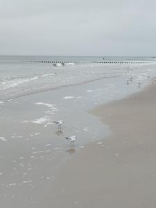 Achterwasser Blick