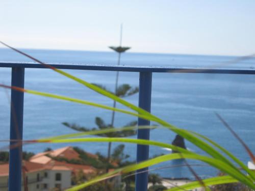 Acqua Marina