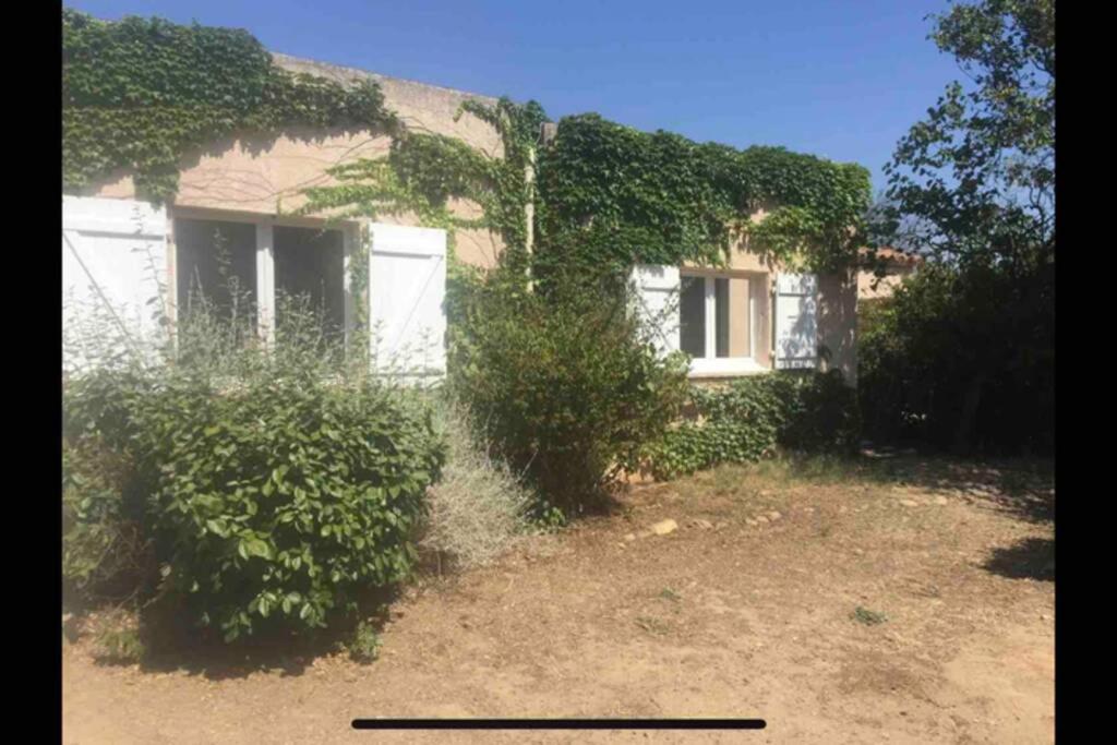 Appartement Adorable guest house en pleine nature,la nautique 30 Chemin de la Nautique 11100 Narbonne