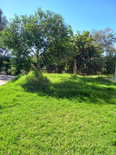 Appartement Appartement Afa BATRONE SARROLA Lieu dit U Butrone Afa