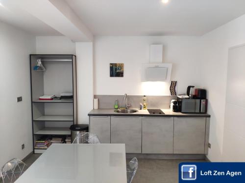 Agen Loft Zen Balneo Jets de massage Sauna Hammam Billard