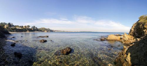 Agréable studio bord de mer