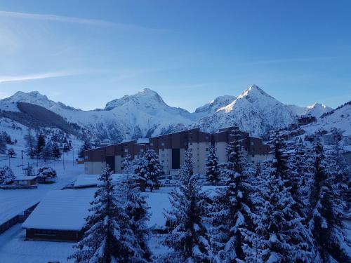 Agréable studio, exposition Sud, centre station, secteur calme, au pied des pistes, Les 2 Alpes