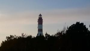 Ahoi