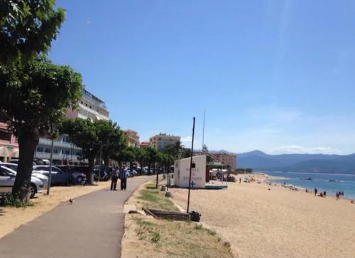 Ajaccio Charmant T2 neuf 40m2 avec balcon au Trottel wifi Clim parking plage à pieds 100m