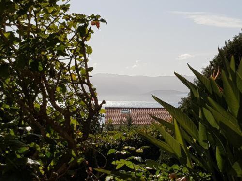 Ajaccio Studio Parc Berthault / Albert 1er