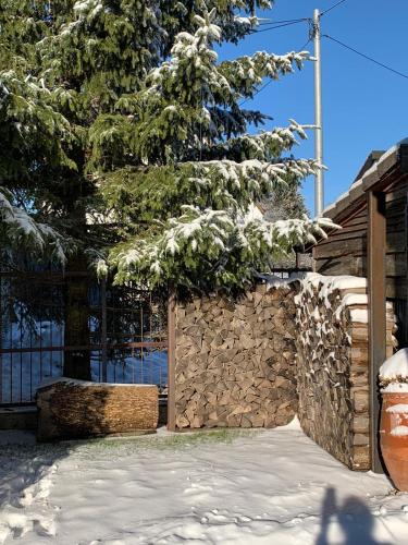 ALB-APARTMENT-WESTERHEIM Kurort
