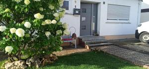 Appartement Alb-Biosphäre-Ferienwohnung Am Wasen 5 89601 Ingstetten Bade-Wurtemberg