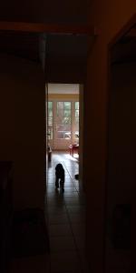 Albertine appt 112