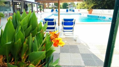 Albufeira 603