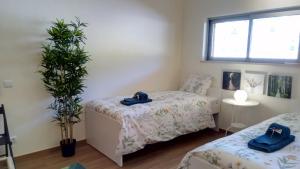 Albufeira Prime Apartment