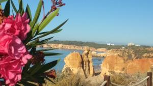 Appartement Albur Village B - Dandelion Rua Serpa Pinto, Albur Village Lote B Apt. R/C - D 8500-087 Alvor Algarve