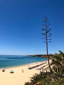 Algarve Sweet Home - Sea View