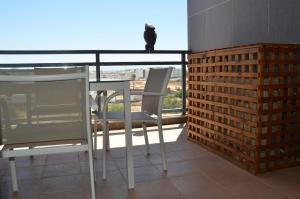 Algarve T2 apartment with pool and balcony in Olhão